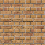 Ibstock Bradgate Golden Purple Brick 65mm - Armstrong Cheshire