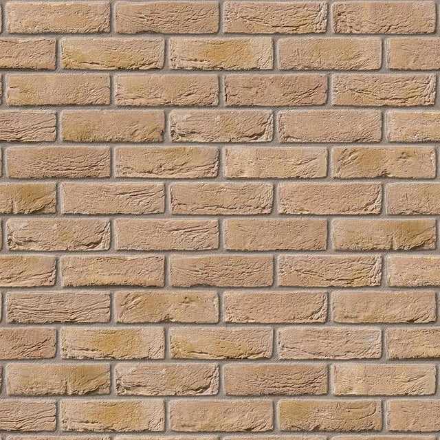 Ibstock Bradgate Multi Cream Brick 65mm - Armstrong Cheshire