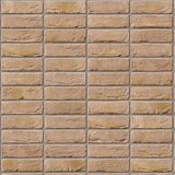 Ibstock Bradgate Multi Cream Brick 65mm - Armstrong Cheshire