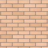 Ibstock Cheddar Golden Brick 65mm Pack of 500 - Armstrong Cheshire