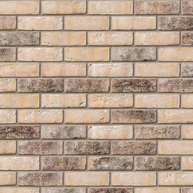 Ibstock Ivanhoe Cream Brick 65mm - Armstrong Cheshire