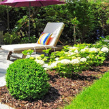 Landscaping Garden Bark Mulch by Dandy's Topsoil & Landscape Supplies