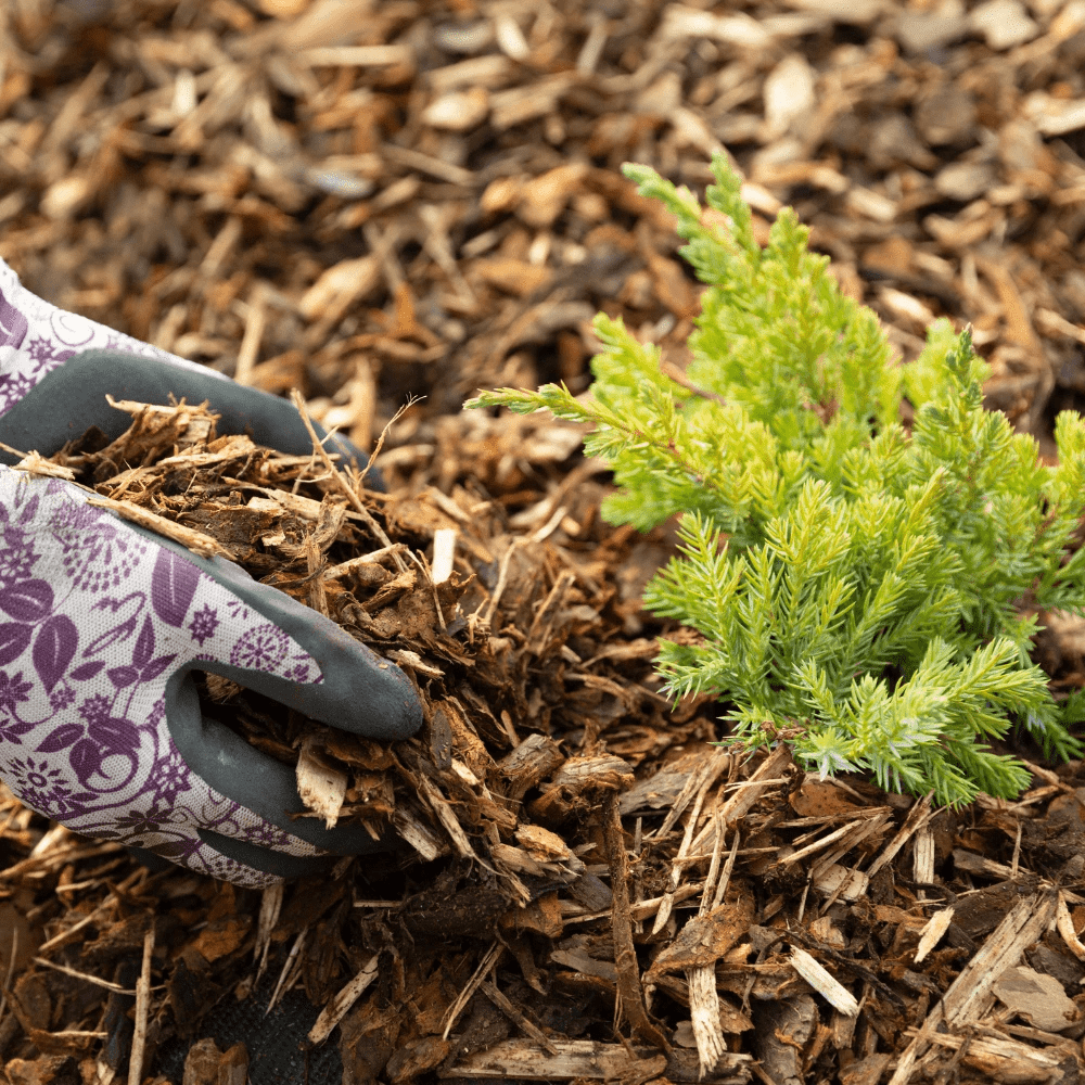 Landscaping Garden Bark Mulch by Dandy's Topsoil & Landscape Supplies