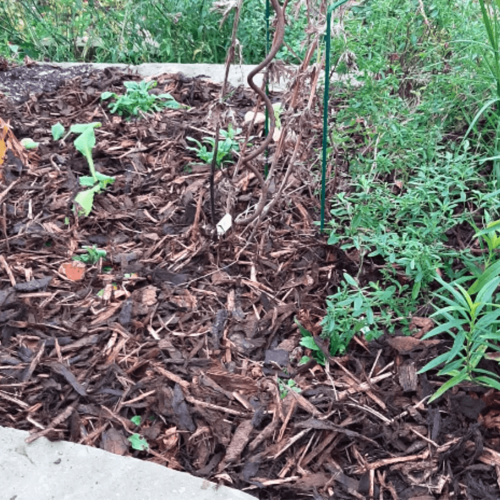 Landscaping Garden Bark Mulch by Dandy's Topsoil & Landscape Supplies