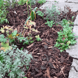 Landscaping Garden Bark Mulch by Dandy's Topsoil & Landscape Supplies