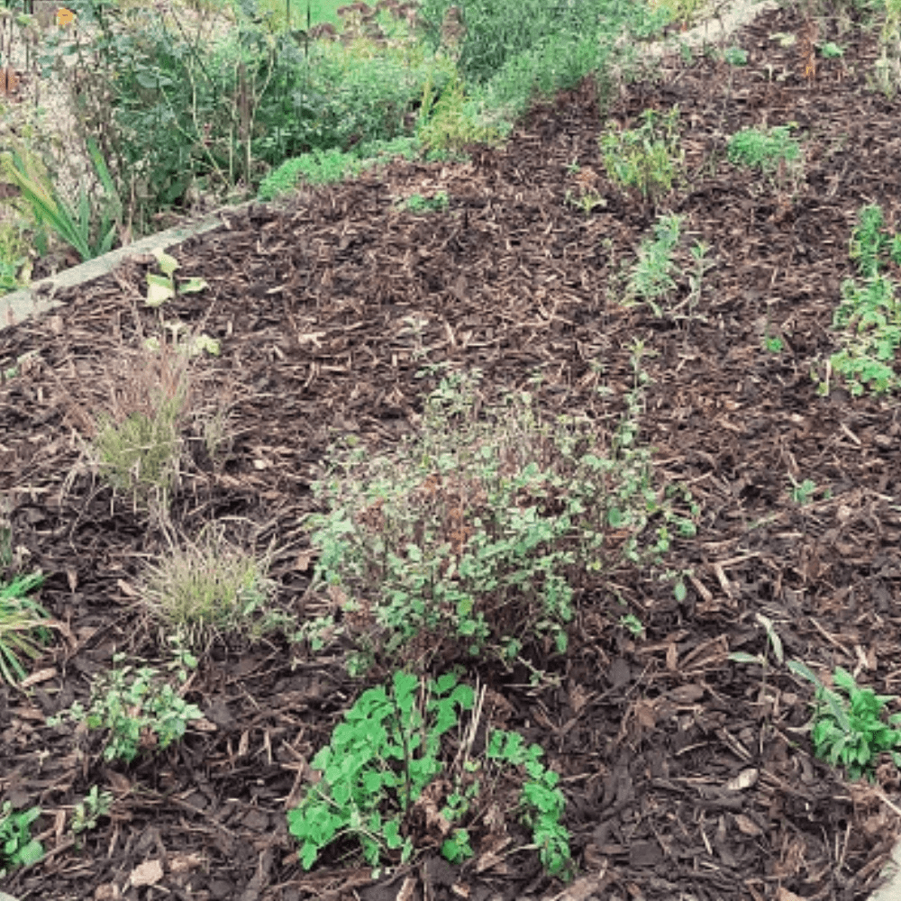 Landscaping Garden Bark Mulch by Dandy's Topsoil & Landscape Supplies