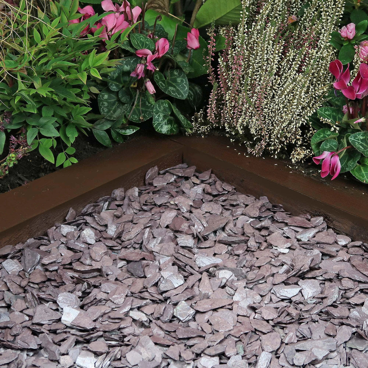 Plum Slate 20mm 20kg Bag Pallet of 49 - Armstrong Cheshire
