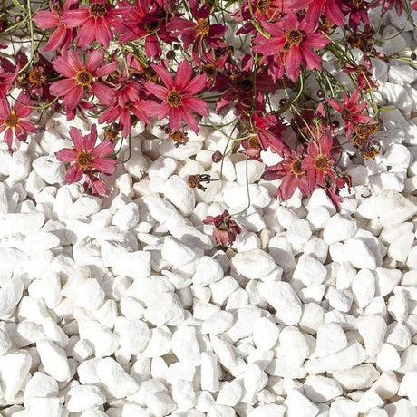 Polar White Spanish Marble Gravel 20mm 25/50 20kg Bags - Armstrong Cheshire