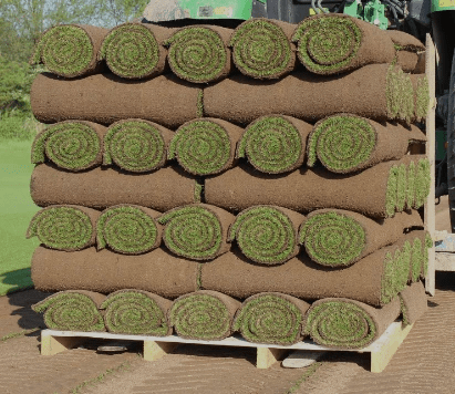 Premier Lawn Turf *Bulk Buy* - Armstrong Cheshire