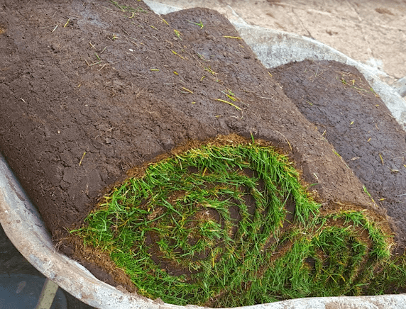 Premier Lawn Turf *Bulk Buy*