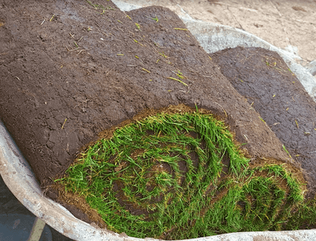 Premier Lawn Turf *Bulk Buy*
