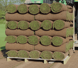Premier Lawn Turf *Bulk Buy*