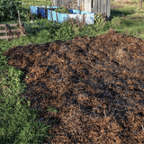 Spent Mushroom Compost