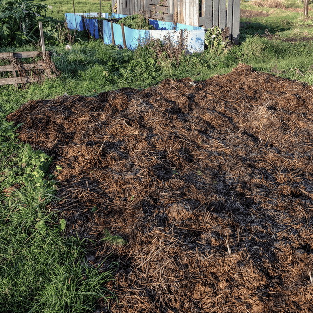 Spent Mushroom Compost Half Bulk Bag approx 500ltrs