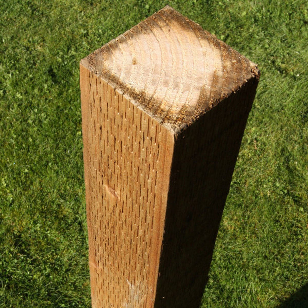 Timber Post Top View