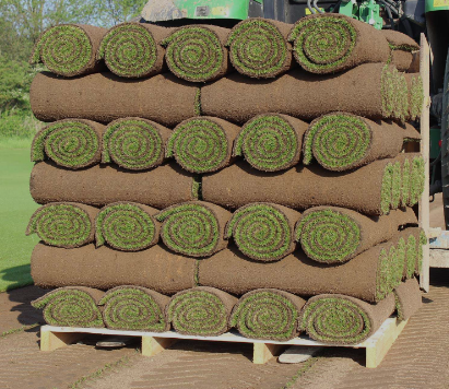 Lawn Turf *Bulk Buy*