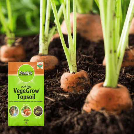 VegeGrow Welsh Topsoil for vegetables
