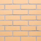 Brick Slip Sample 