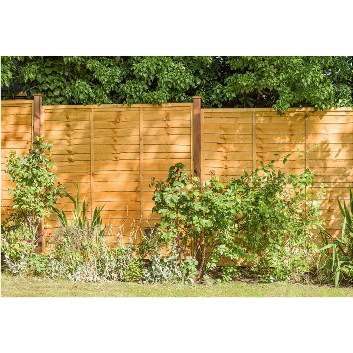 Garden Fence Panels Superior Lap in Packs 1828mmx 1500mm (6ft x 5ft) (6748029255859)