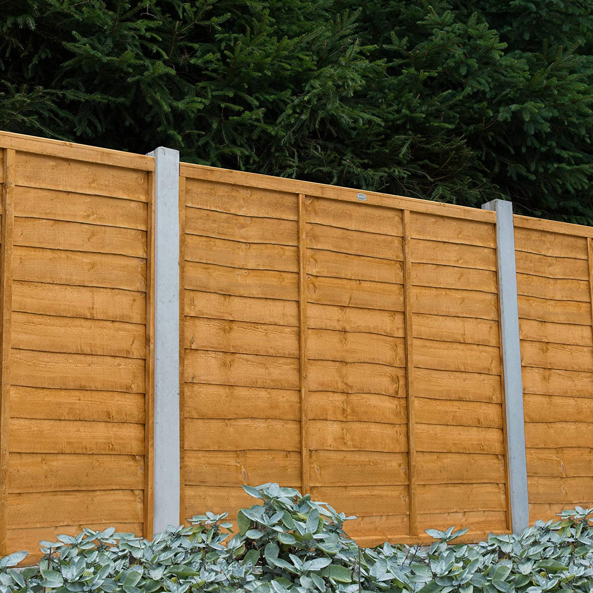 Garden Fence Panels Superior Lap in Packs 1828mmx 1800mm (6ft x 6ft) (6748029321395)