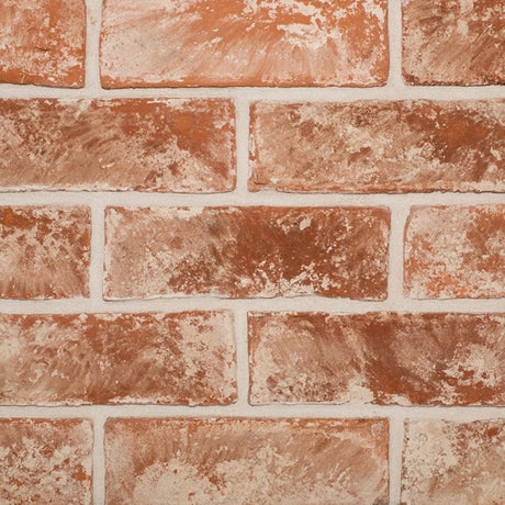 Brick Slip Tiles Samples - Armstrong Cheshire