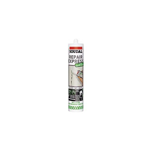 REPAIR EXPRESS PLASTER 290ml white