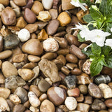 Pea Pebble 20-60mm 25/50 20kg Bags - Armstrong Cheshire