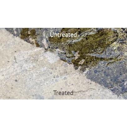 ProJoint  Black Spot and Algae Remover 5L - Armstrong Cheshire