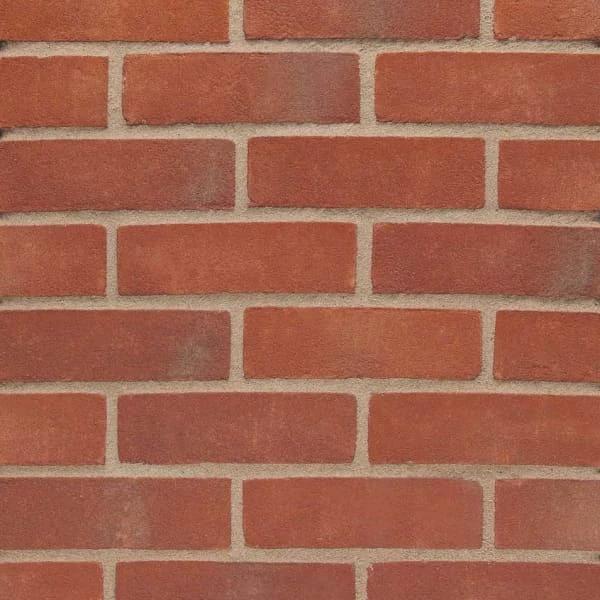 Wienerberger Orange Multi Gilt Brick 65mm Pack of 500 - Armstrong Cheshire